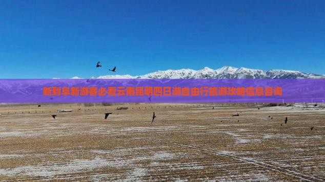 新到阜新游客必看云南昆明四日游自由行旅游攻略信息咨询