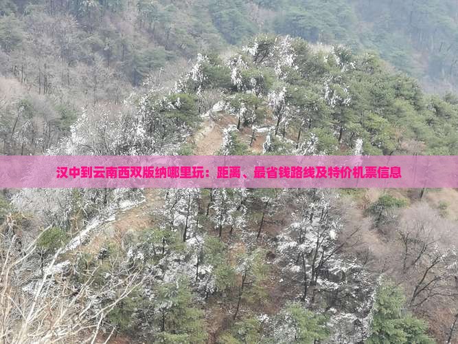 汉中到云南西双版纳哪里玩：距离、最省钱路线及特价机票信息