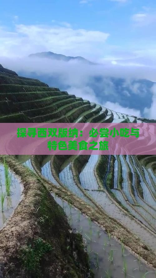 探寻西双版纳：必尝小吃与特色美食之旅