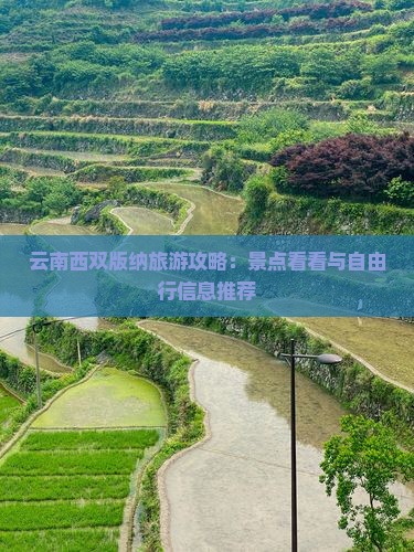 云南西双版纳旅游攻略：景点看看与自由行信息推荐