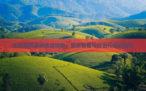云南西双版纳旅游攻略：景点看看与自由行信息推荐