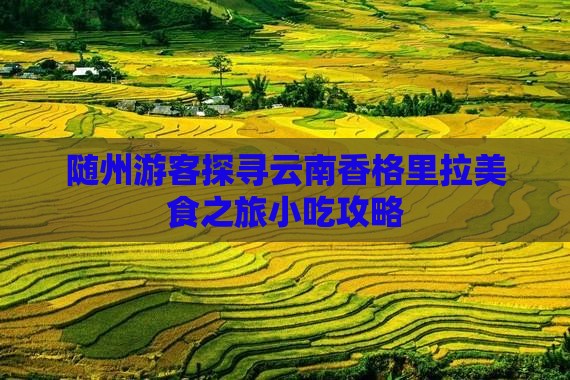 随州游客探寻云南香格里拉美食之旅小吃攻略