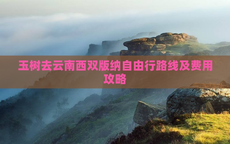 玉树去云南西双版纳自由行路线及费用攻略