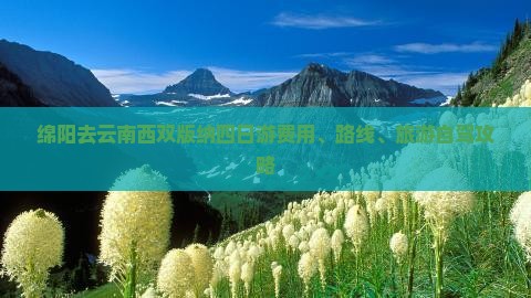 绵阳去云南西双版纳四日游费用、路线、旅游自驾攻略