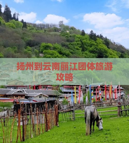 扬州到云南丽江团体旅游攻略