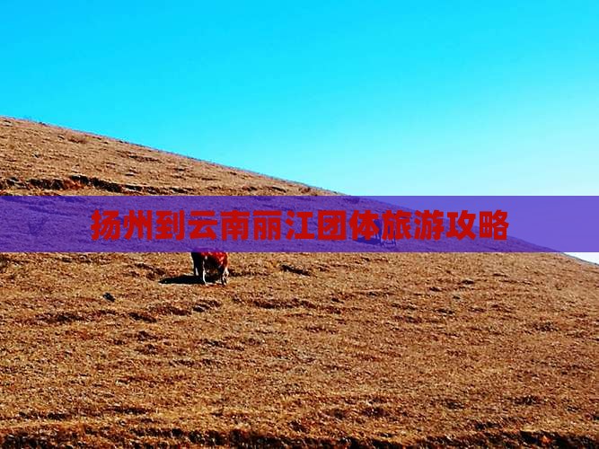 扬州到云南丽江团体旅游攻略