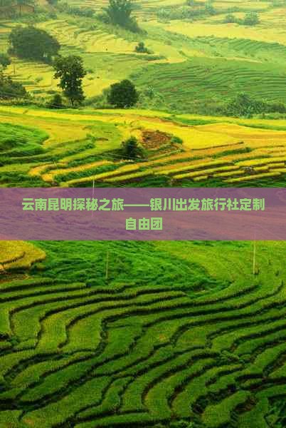 云南昆明探秘之旅——银川出发旅行社定制自由团