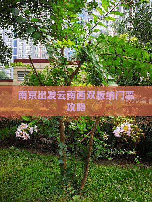 南京出发云南西双版纳门票攻略