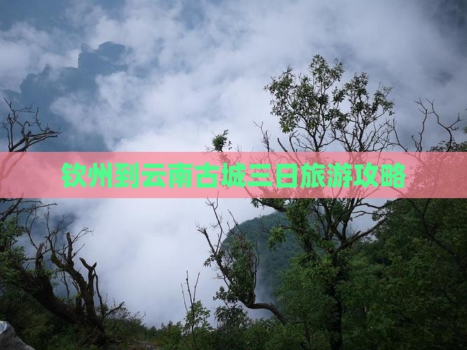 钦州到云南古城三日旅游攻略