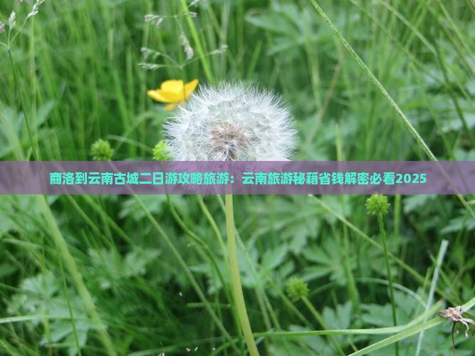 商洛到云南古城二日游 商洛到云南古城二日游