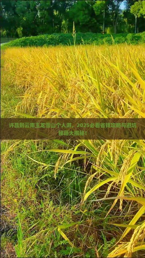 许昌到云南玉龙雪山个人游