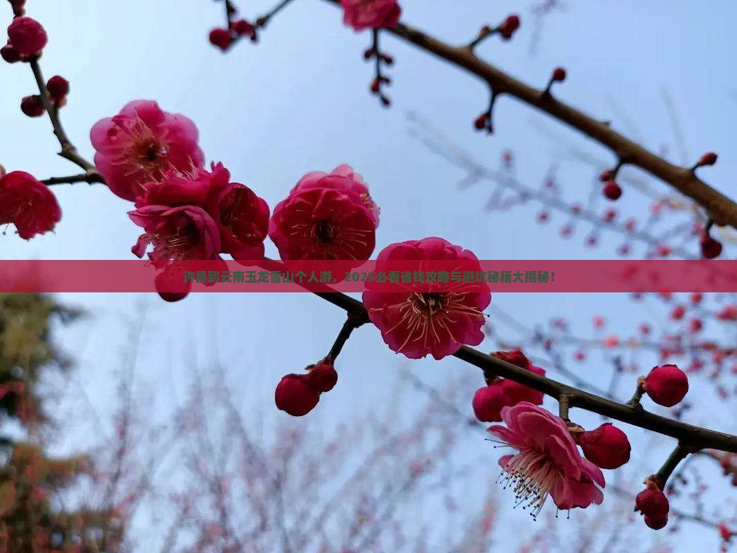 许昌到云南玉龙雪山个人游