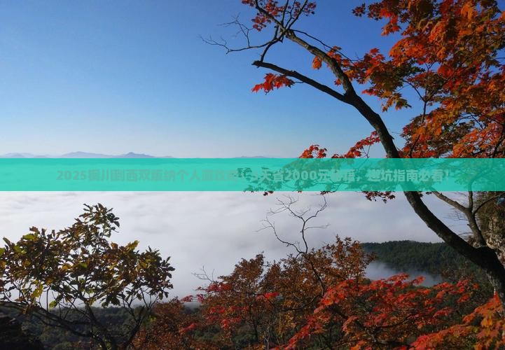铜川到云南西双版纳个人游