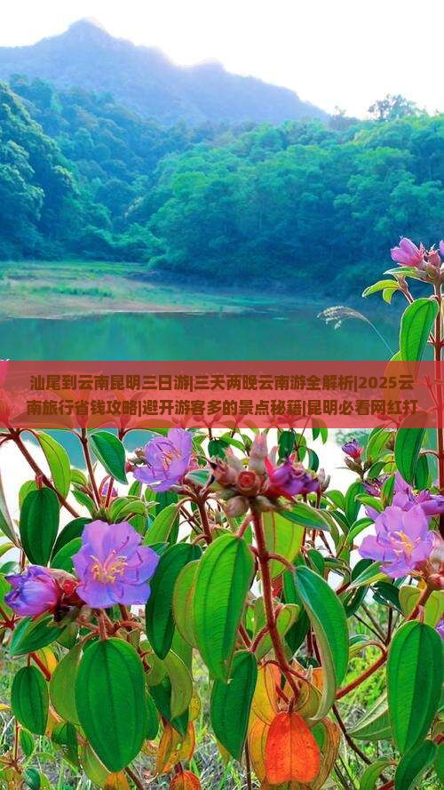 汕尾到云南昆明三日游