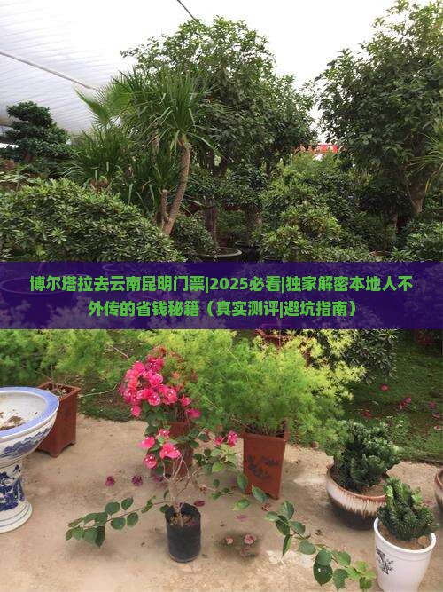 博尔塔拉去云南昆明门票