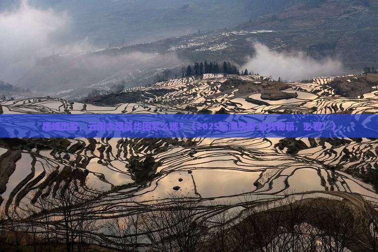 塔城到云南大理大型旅游团
