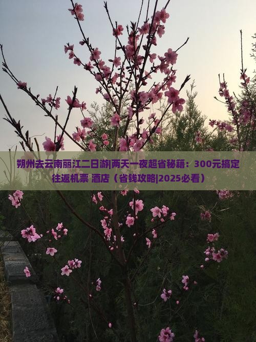 朔州去云南丽江二日游