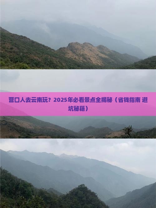 营口到云南景点