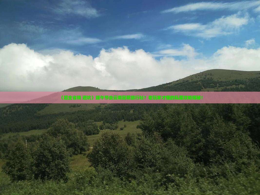 端午节去云南昆明旅行社