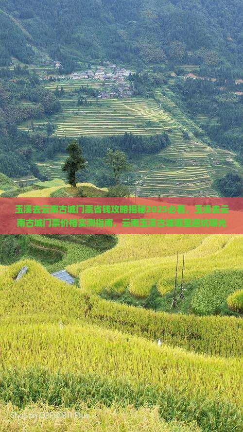 玉溪去云南古城门票