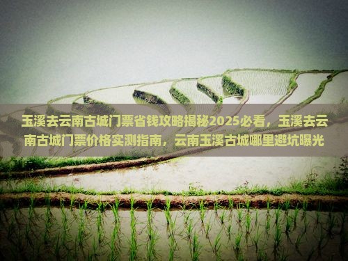 玉溪去云南古城门票