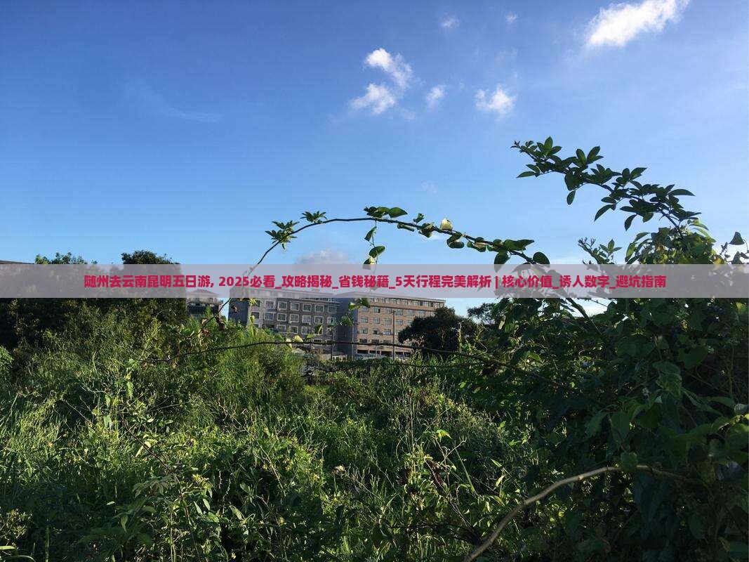 随州去云南昆明五日游