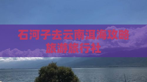 石河子去云南洱海旅行社
