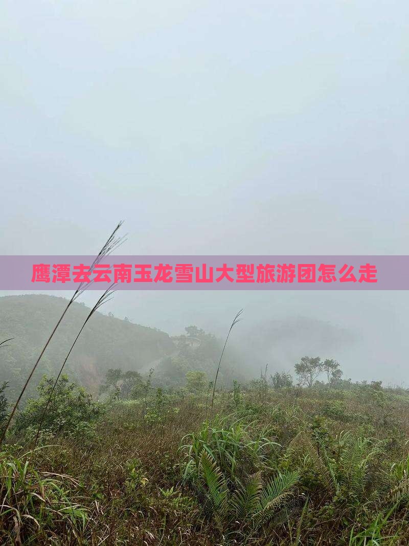 鹰潭去云南玉龙雪山大型旅游团