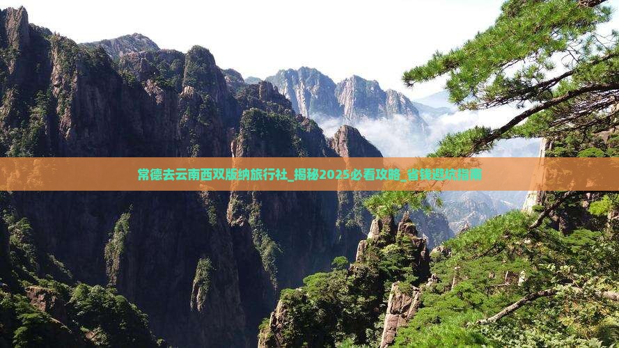 常德去云南西双版纳旅行社