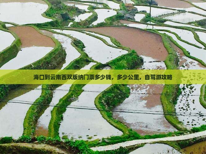 海口到云南西双版纳门票