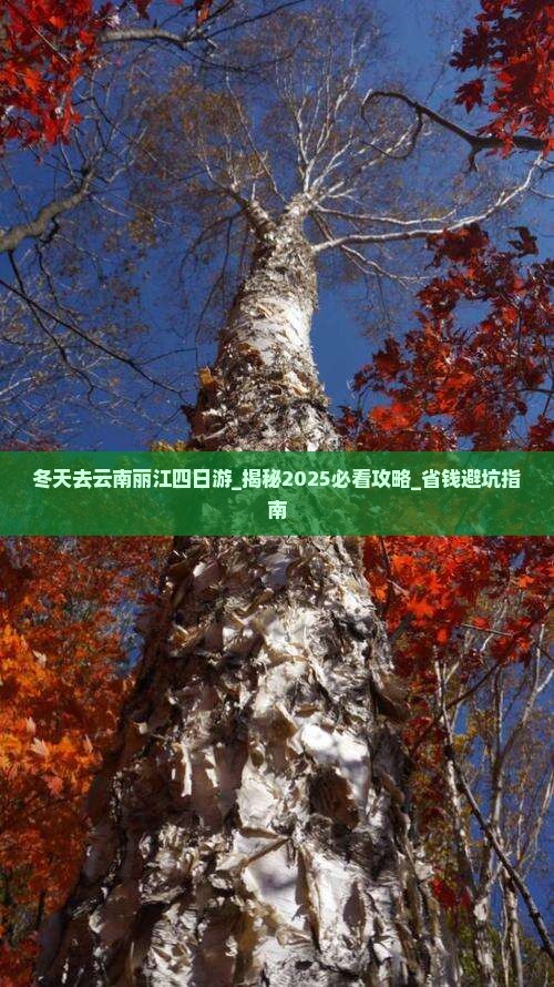 冬天去云南丽江四日游