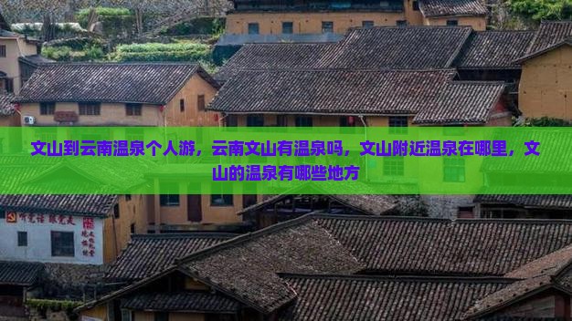 文山到云南温泉个人游