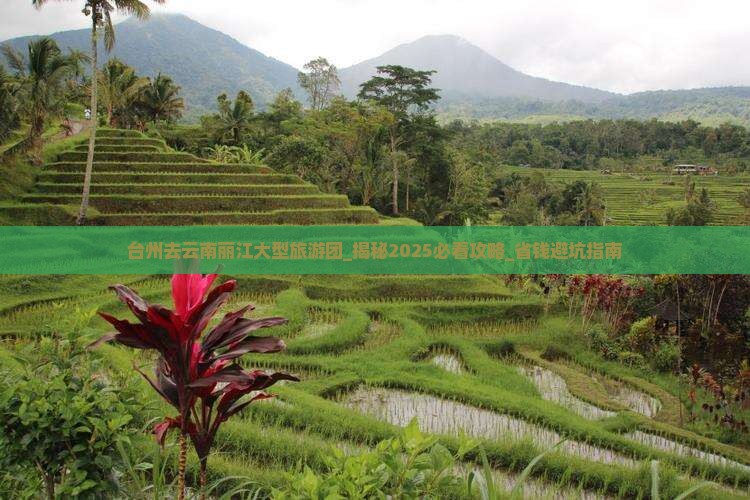 台州去云南丽江大型旅游团