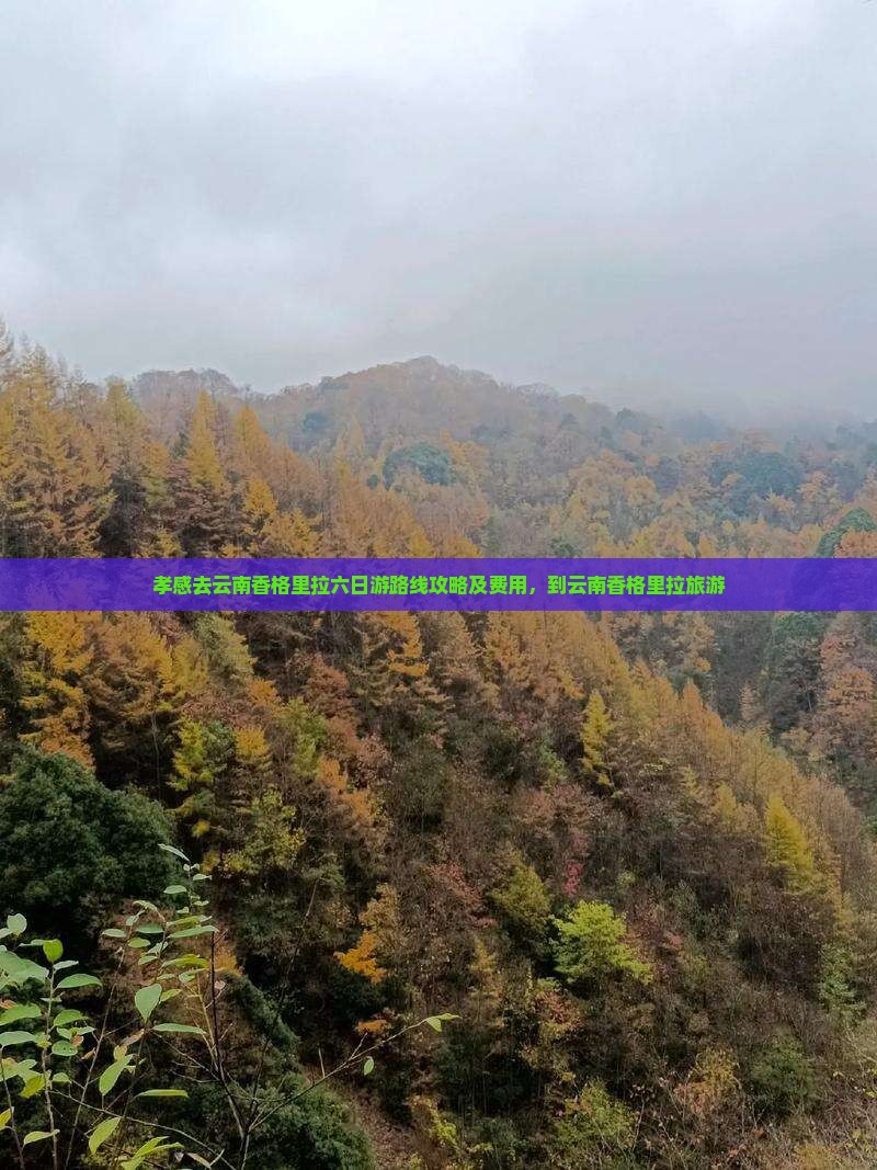 孝感去云南香格里拉六日游