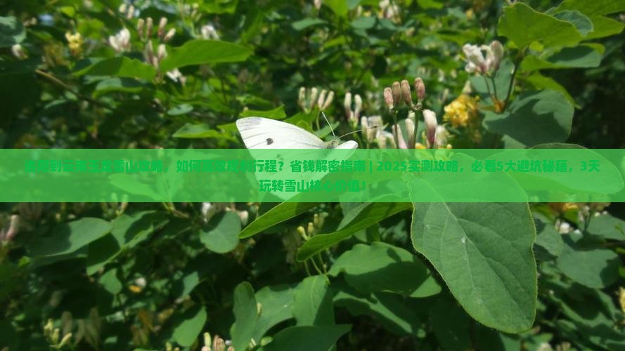 洛阳到云南玉龙雪山攻略