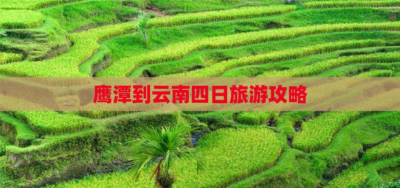 鹰潭到云南四日游