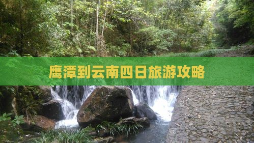 鹰潭到云南四日游