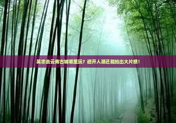 吴忠去云南古城哪里玩