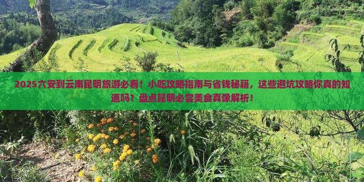 六安到云南昆明旅游小吃