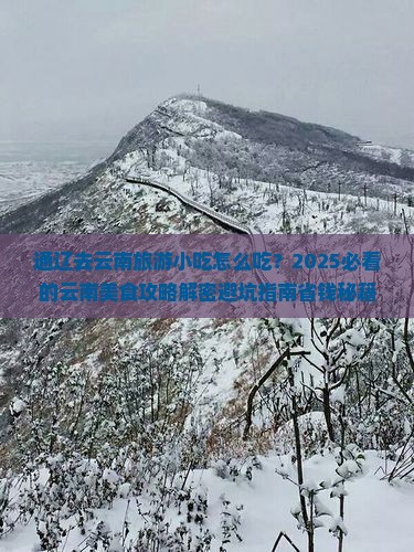 通辽去云南旅游小吃
