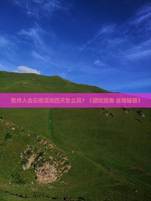 焦作去云南洱海四日游 焦作去云南洱海四日游