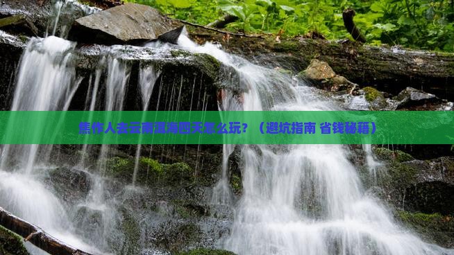 焦作去云南洱海四日游 焦作去云南洱海四日游
