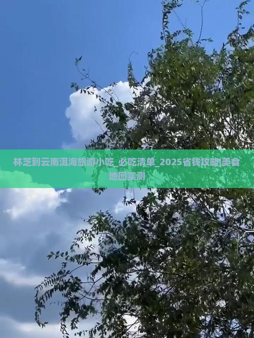 林芝到云南洱海旅游小吃