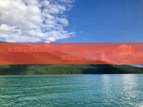 林芝到云南洱海旅游小吃