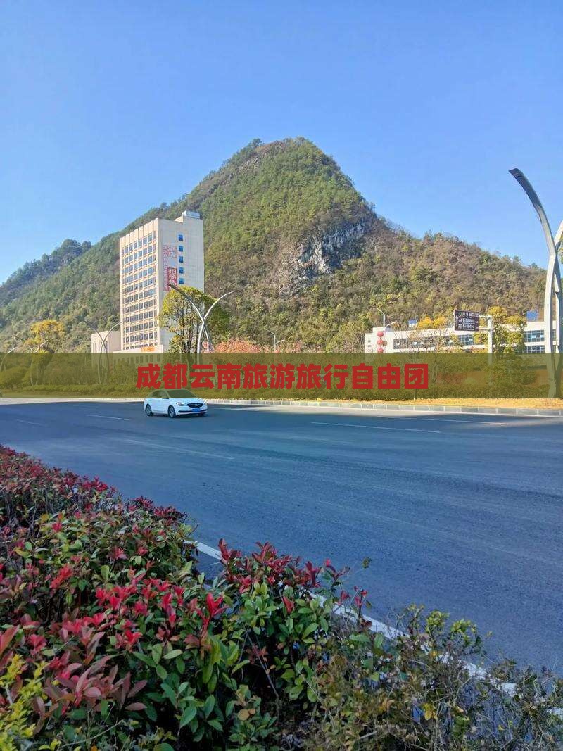 成都去云南自由团 成都去云南自由团
