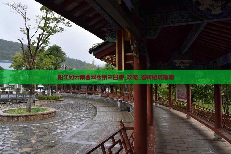 阳江到云南西双版纳三日游
