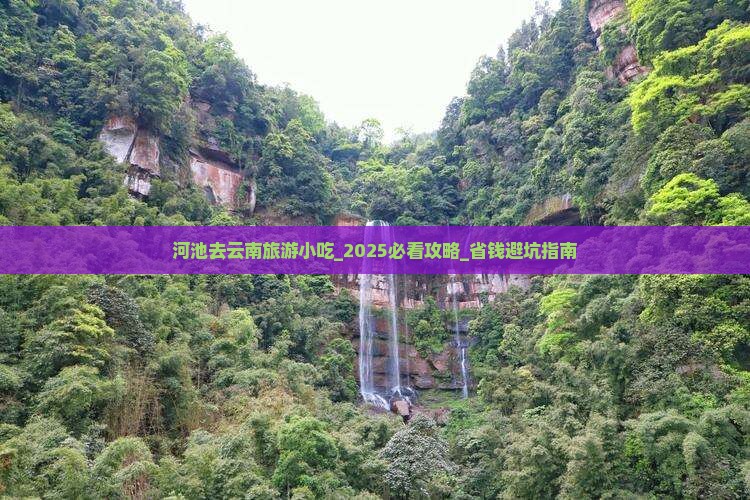 河池去云南旅游小吃