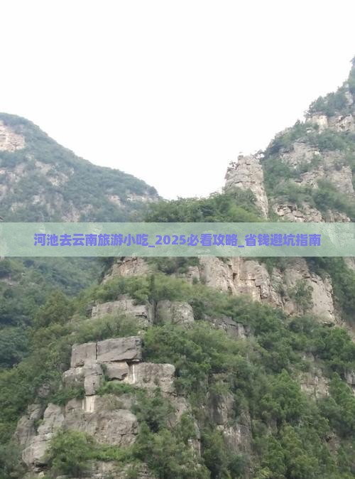 河池去云南旅游小吃