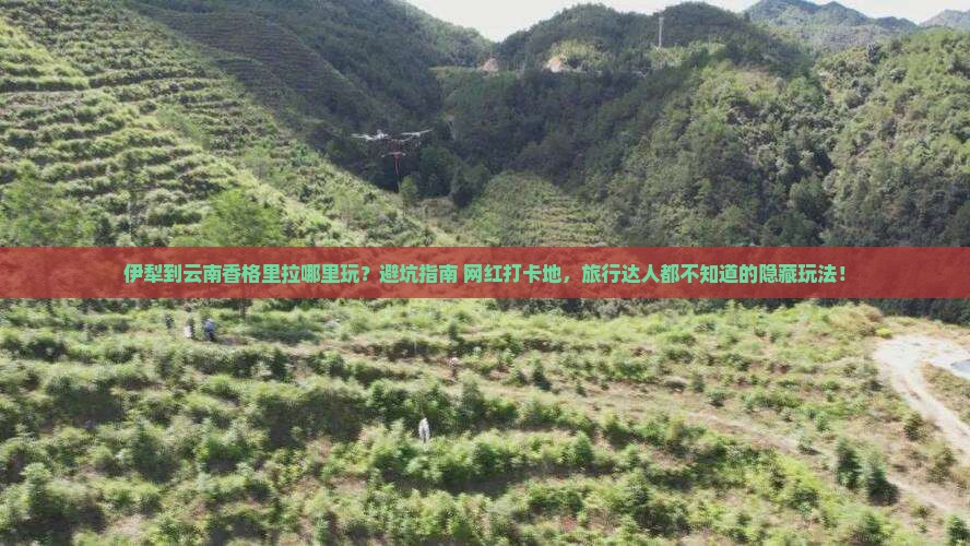 伊犁到云南香格里拉哪里玩