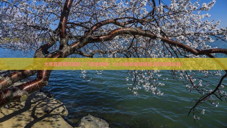 大丰到云南西双版纳门票 大丰到云南西双版纳门票